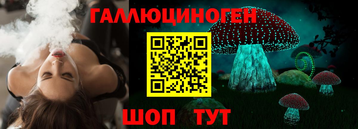 Галлюциногенные грибы Cubensis Губкин